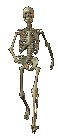 Animated walking skeleton