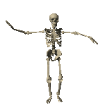 Animated skeleton waving arms around