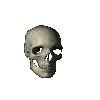Animated rotateing skull